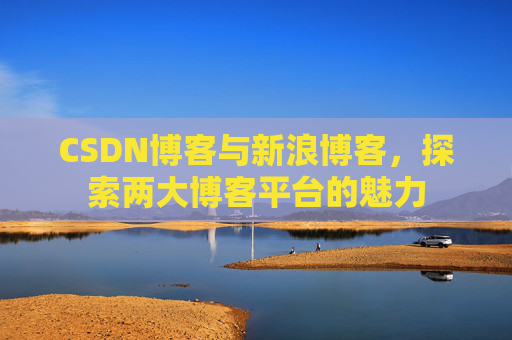 CSDN博客与新浪博客，探索两大博客平台的魅力